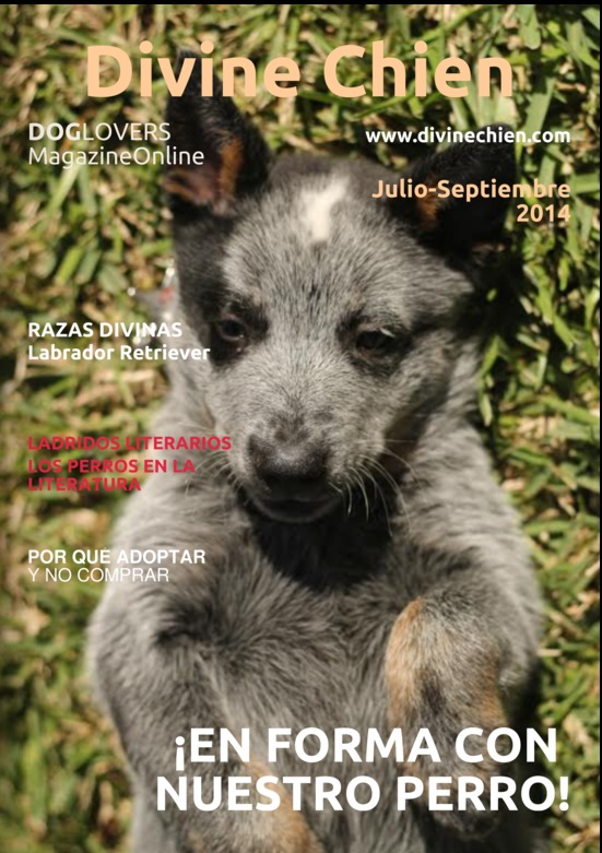 Revista para perros