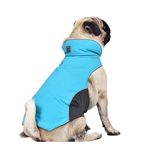 abrigo impermeable para perro