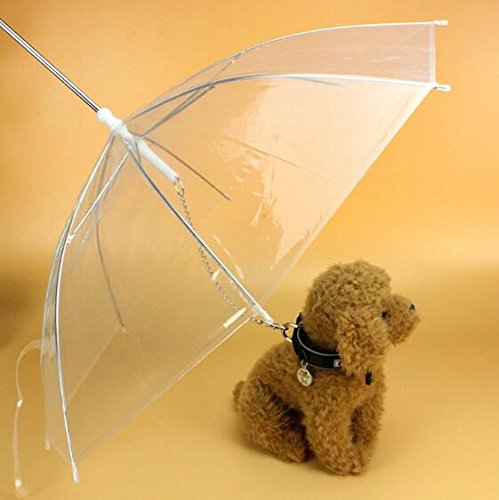 paraguas para perro