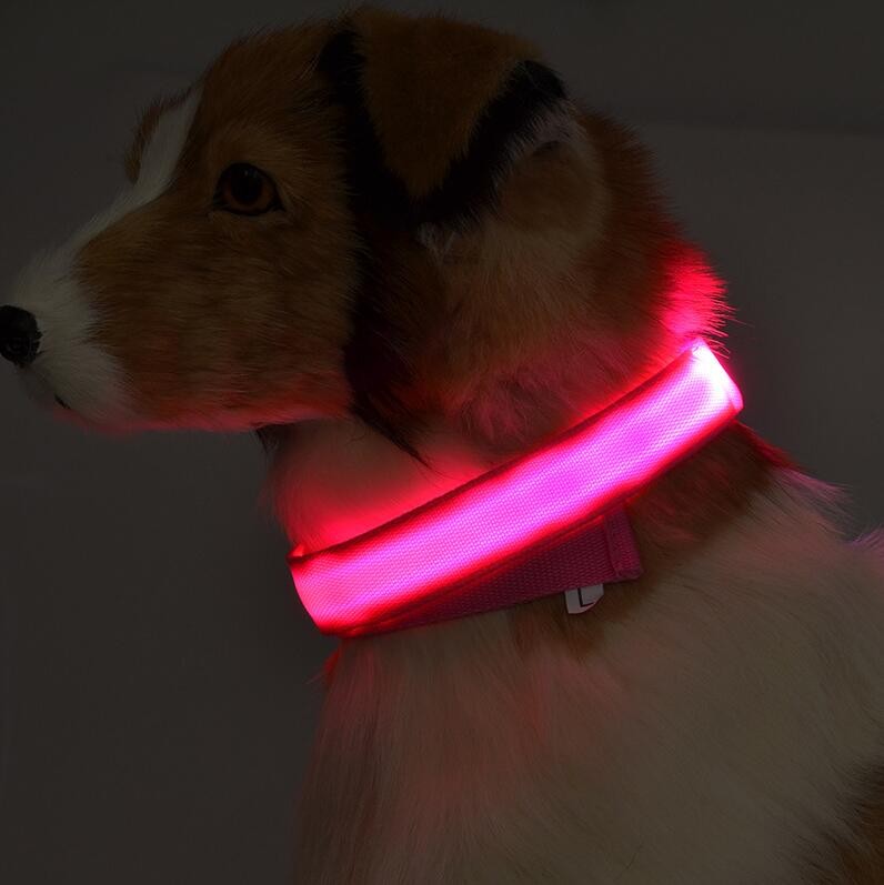 collares para perros con luces LED